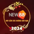 New8864 Vip – Cược thể thao mỗi ngày nhận ngay thưởng lớn